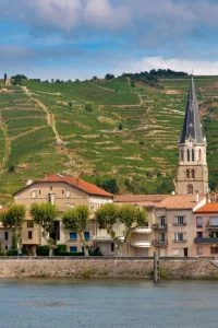 Vineyards in the Cote du Rhone France