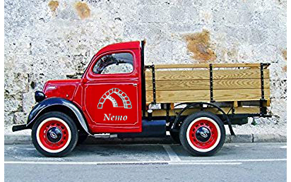 Nemo Delivery Van