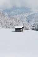 Snow scene