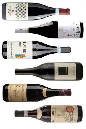 Piedmontese Nebbiolo Mixed Case