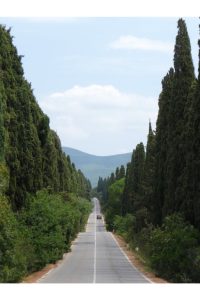 Bolgheri home of Sassicaia and Ornellaia