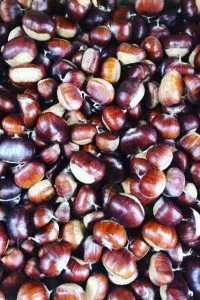 Autumn Chestnuts